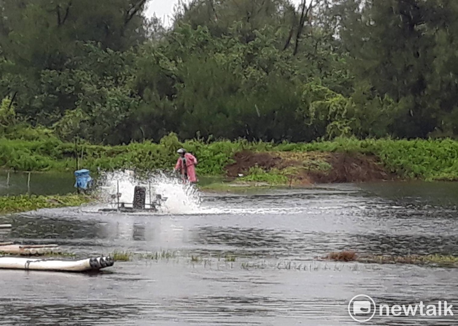 823水患造成安南區四草防風林堤防崩潰,汙水灌入鄰近魚塭造成高經濟價值水產物暴斃。 圖:黃博郎/攝 823水患造成安南區四草防風林堤防崩潰,汙水灌入鄰近魚塭造成高經濟價值水產物暴斃。 圖:黃博郎/攝