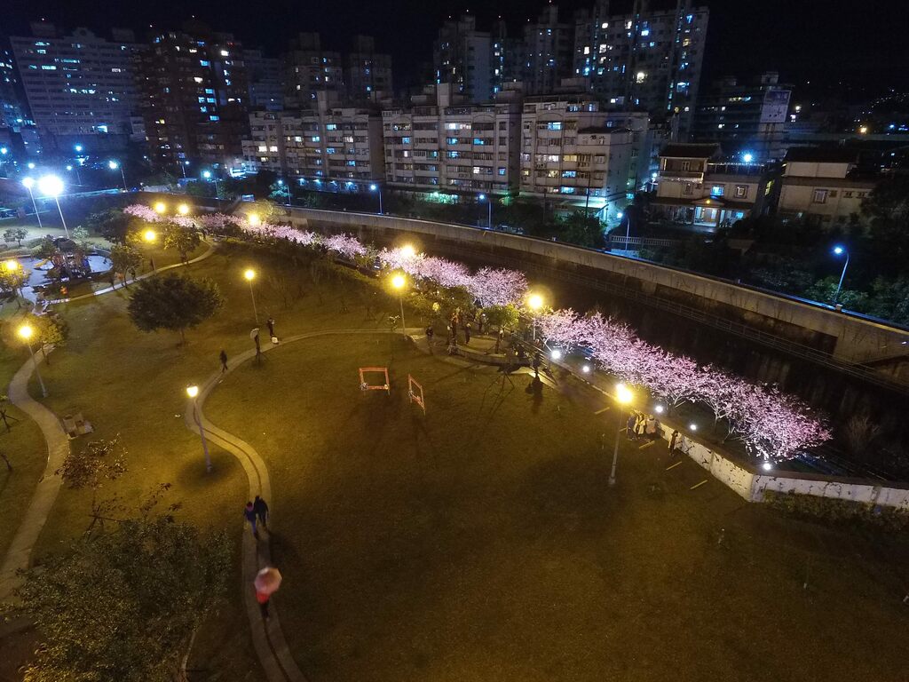 內湖樂活夜櫻季 圖: 台北市政府觀光傳播局/提供 內湖樂活夜櫻季 圖: 台北市政府觀光傳播局/提供