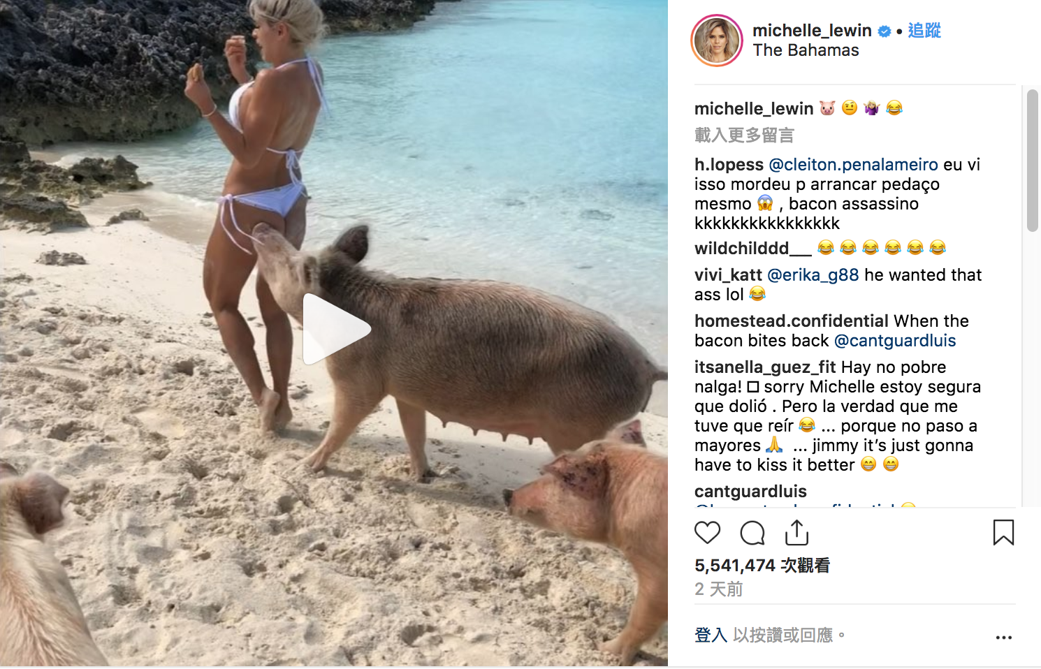 圖/翻攝Michelle Lewin IG 圖/翻攝Michelle Lewin IG