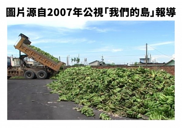 網友瘋傳香蕉過剩倒路邊,農委會澄清此圖片是移花接木,這是2007年的報導。 圖:農委會/提供 網友瘋傳香蕉過剩倒路邊,農委會澄清此圖片是移花接木,這是2007年的報導。 圖:農委會/提供