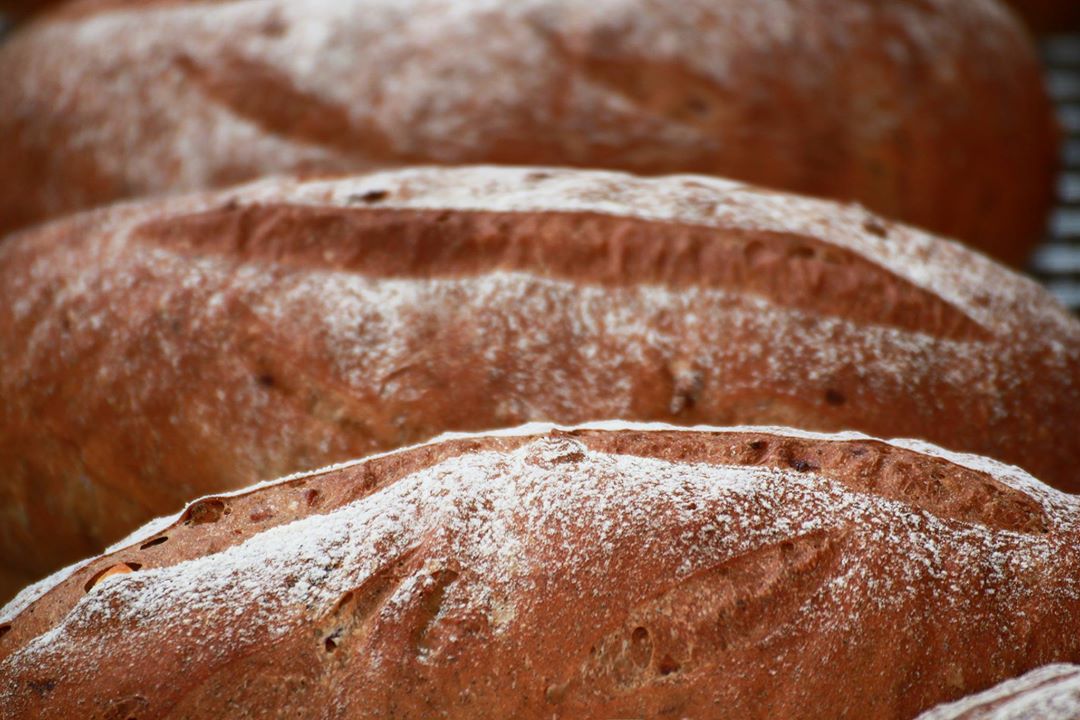 魚光窯烤麵包為歐式麵包，加入當地產茶葉揉製而成，每一口都具有淡淡茶香及豐富的堅果、果乾、乳酪等佐料。　圖：取自魚樂魚池官方臉書