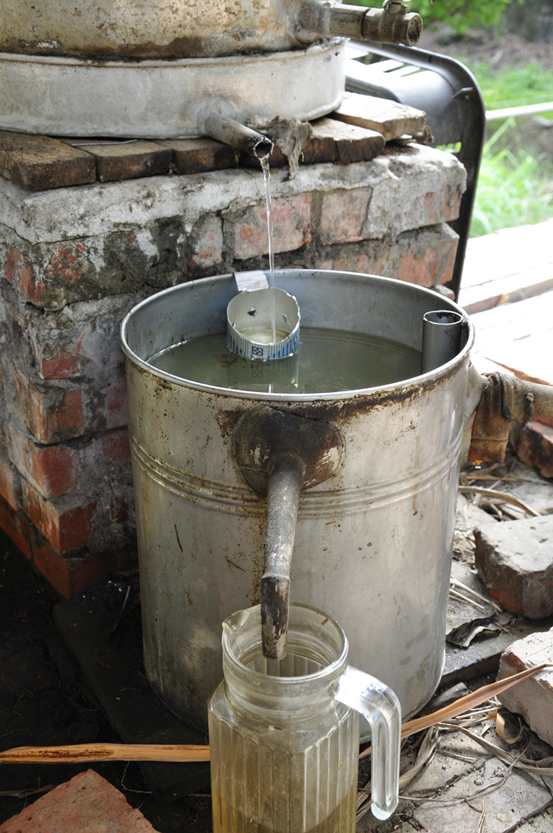 香茅經蒸餾後，進行油水分離處理取得香茅油。　圖：蕭沛涵／攝