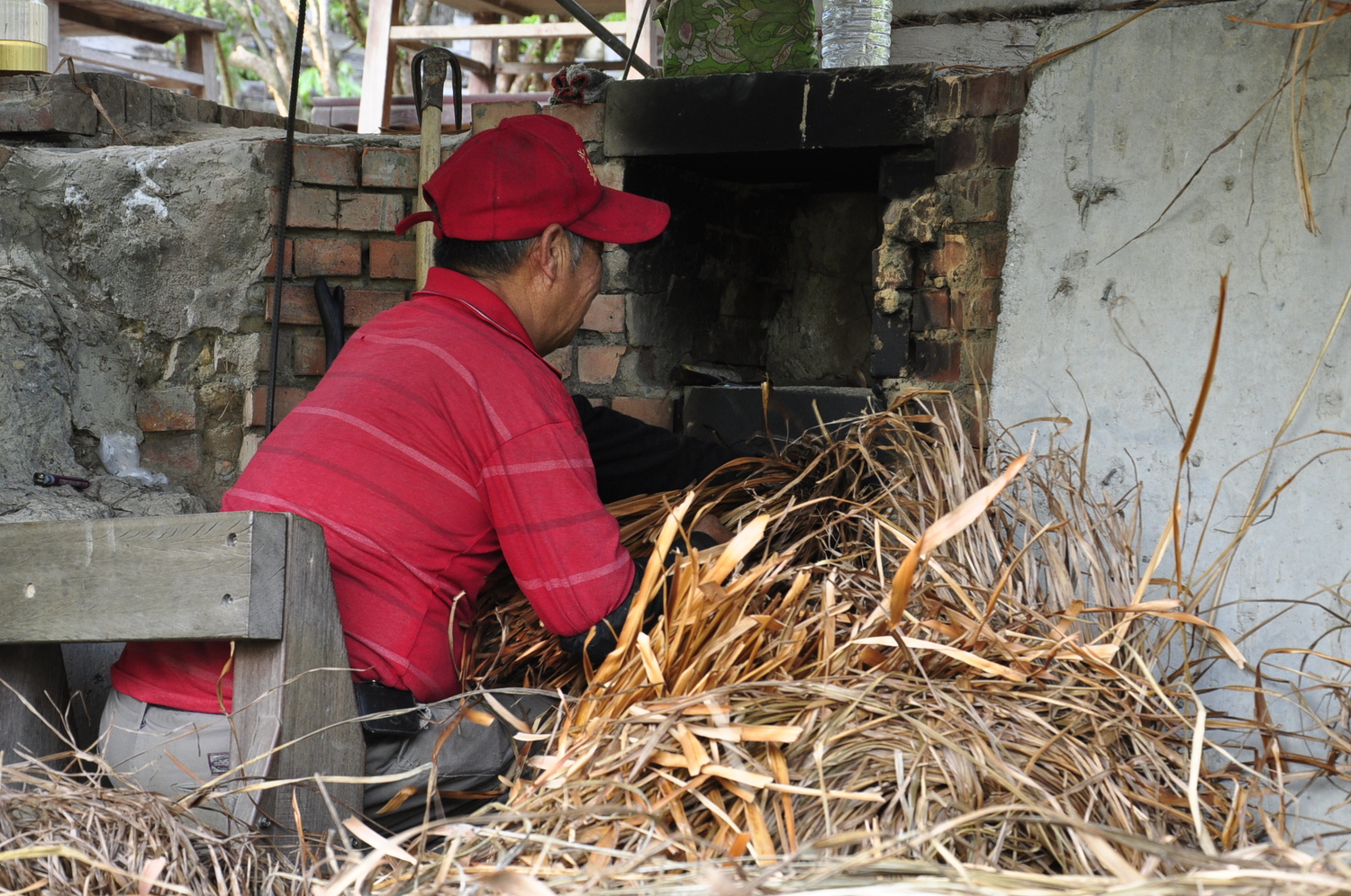 工作人員用已蒸餾過的香茅乾草作為起灶燃料。　圖：蕭沛涵／攝