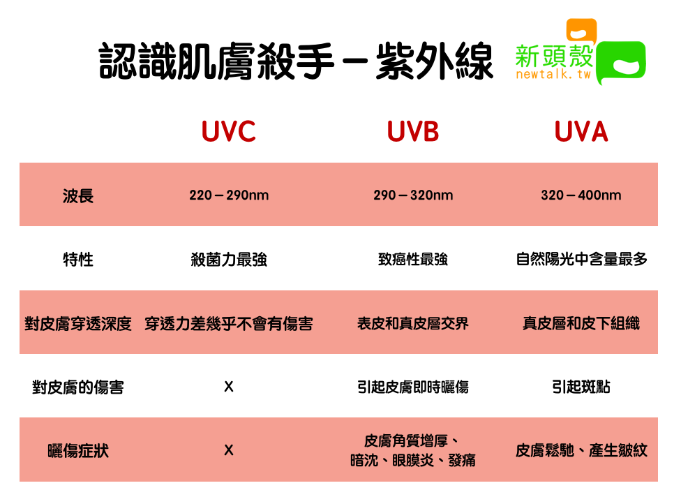 認識肌膚殺手-紫外線 圖:新頭殼/製表 認識肌膚殺手-紫外線 圖:新頭殼/製表