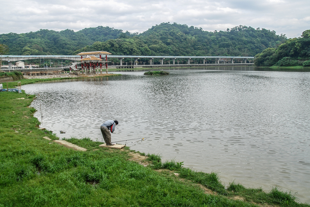 大湖公園與白鷺鷥山步道相比鄰,從捷運站出來沿著公園散步,很快就抵達登山口。圖:謝佳真/攝 大湖公園與白鷺鷥山步道相比鄰,從捷運站出來沿著公園散步,很快就抵達登山口。圖:謝佳真/攝