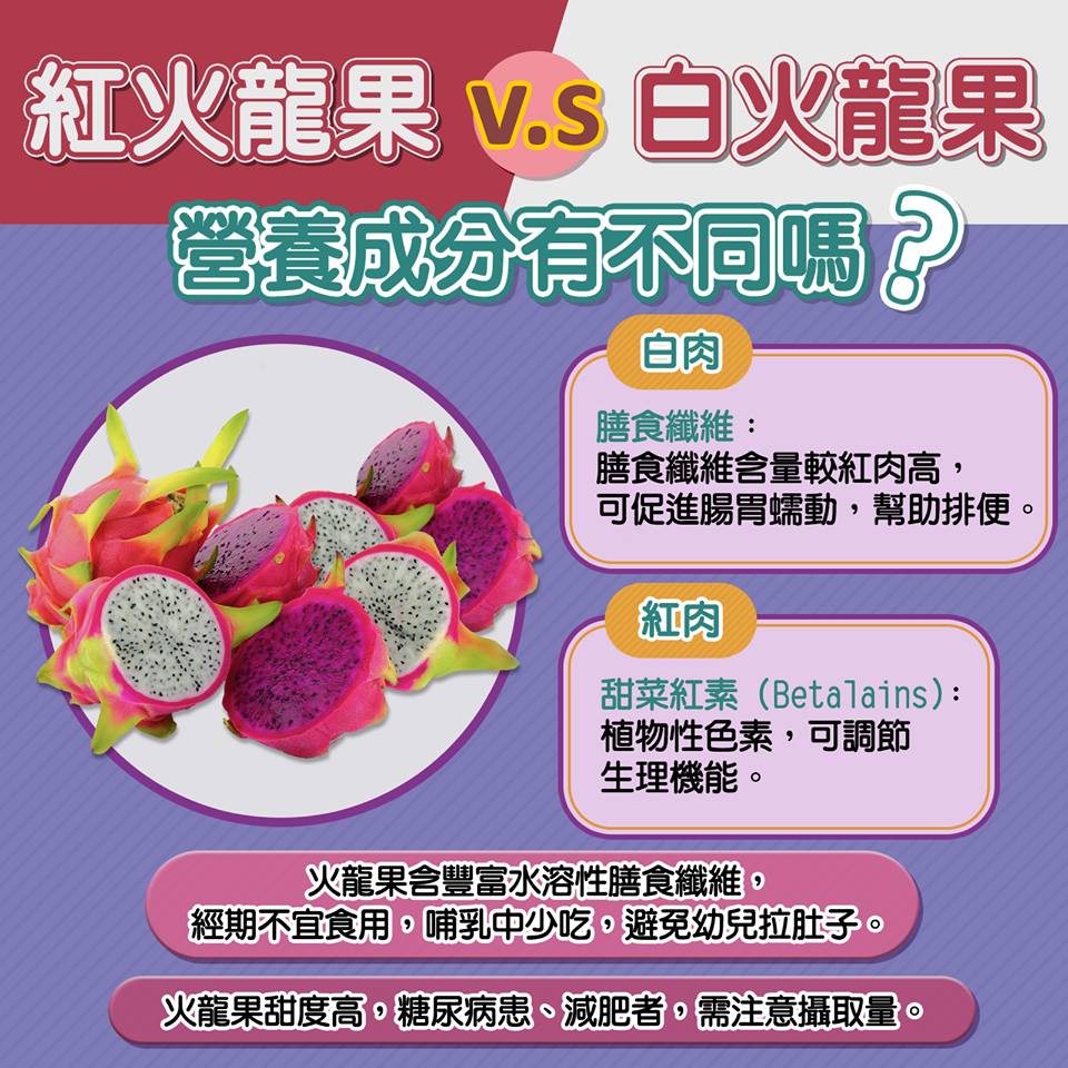 紅白火龍果營養PK!圖:食藥署/提供 紅白火龍果營養PK!圖:食藥署/提供