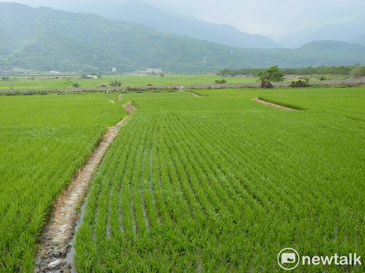 缺水情況嚴峻！農委會：嘉南地區明年停灌機率高達9成