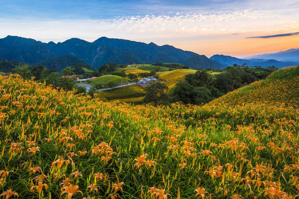黃昏的六十石山別有一番風情。圖:花東縱谷國家風景區網站/翻攝 黃昏的六十石山別有一番風情。圖:花東縱谷國家風景區網站/翻攝