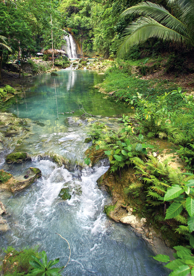 kawasan falls是宿霧想體驗溯溪、瀑布下沖水的必去之處。圖:菲律賓旅遊局/提供 kawasan falls是宿霧想體驗溯溪、瀑布下沖水的必去之處。圖:菲律賓旅遊局/提供