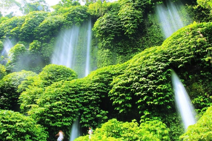 Benang Stokel 與 Benang Kelambu 瀑布是遊訪龍目島必去的兩大瀑布。圖:印尼旅遊局官網/翻攝 Benang Stokel 與 Benang Kelambu 瀑布是遊訪龍目島必去的兩大瀑布。圖:印尼旅遊局官網/翻攝