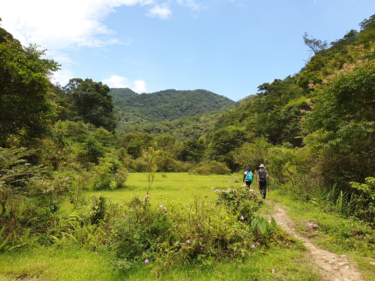 崩山坑古道又稱柑腳泰平古道或柑泰古道, 是雙溪鄉柑腳地區與泰平地區居民昔日往來的舊路。 圖:新北市觀光局/提供 崩山坑古道又稱柑腳泰平古道或柑泰古道, 是雙溪鄉柑腳地區與泰平地區居民昔日往來的舊路。 圖:新北市觀光局/提供