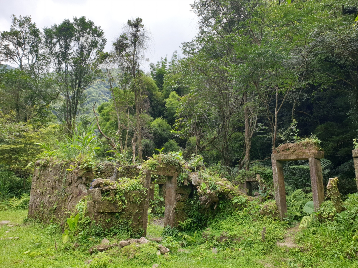 中坑古道沿路可看到廢棄的古厝,是先民存在的痕跡。圖:新北市觀光局/提供 中坑古道沿路可看到廢棄的古厝,是先民存在的痕跡。圖:新北市觀光局/提供