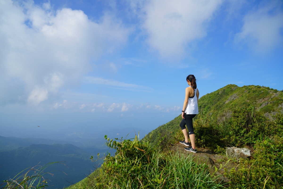 途中還能從高處俯瞰山海共處的景色。圖:新北市觀光局/提供 途中還能從高處俯瞰山海共處的景色。圖:新北市觀光局/提供