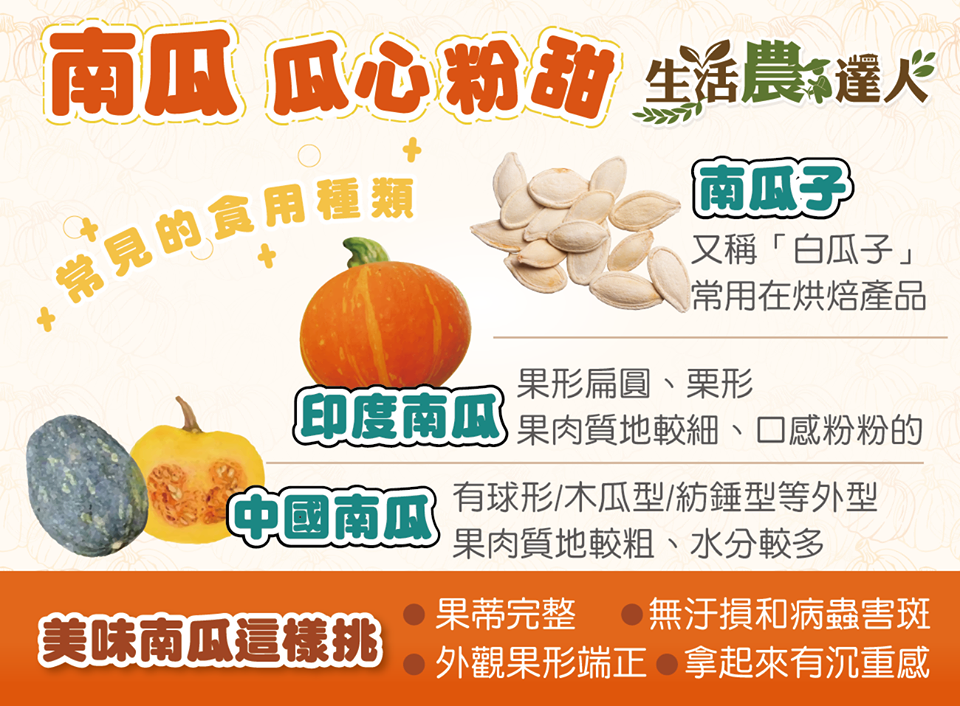 農委會建議民眾在選購食用南瓜時,以外觀果形端正、果蒂完整,無污損及病蟲害斑,且拿起來有沈重感為主 圖:農委會/提供 農委會建議民眾在選購食用南瓜時,以外觀果形端正、果蒂完整,無污損及病蟲害斑,且拿起來有沈重感為主 圖:農委會/提供