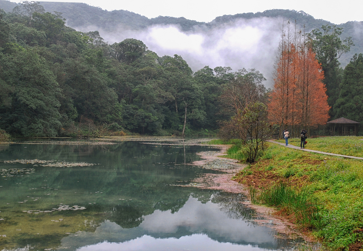 福山植物園一年有兩百多天都在下雨,雲霧在遠山間飄渺變幻。圖:謝佳真/攝 福山植物園一年有兩百多天都在下雨,雲霧在遠山間飄渺變幻。圖:謝佳真/攝