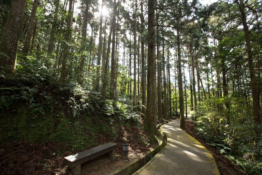 東眼山是台灣小百岳之一。圖:翻攝自桃園觀光導覽網 東眼山是台灣小百岳之一。圖:翻攝自桃園觀光導覽網