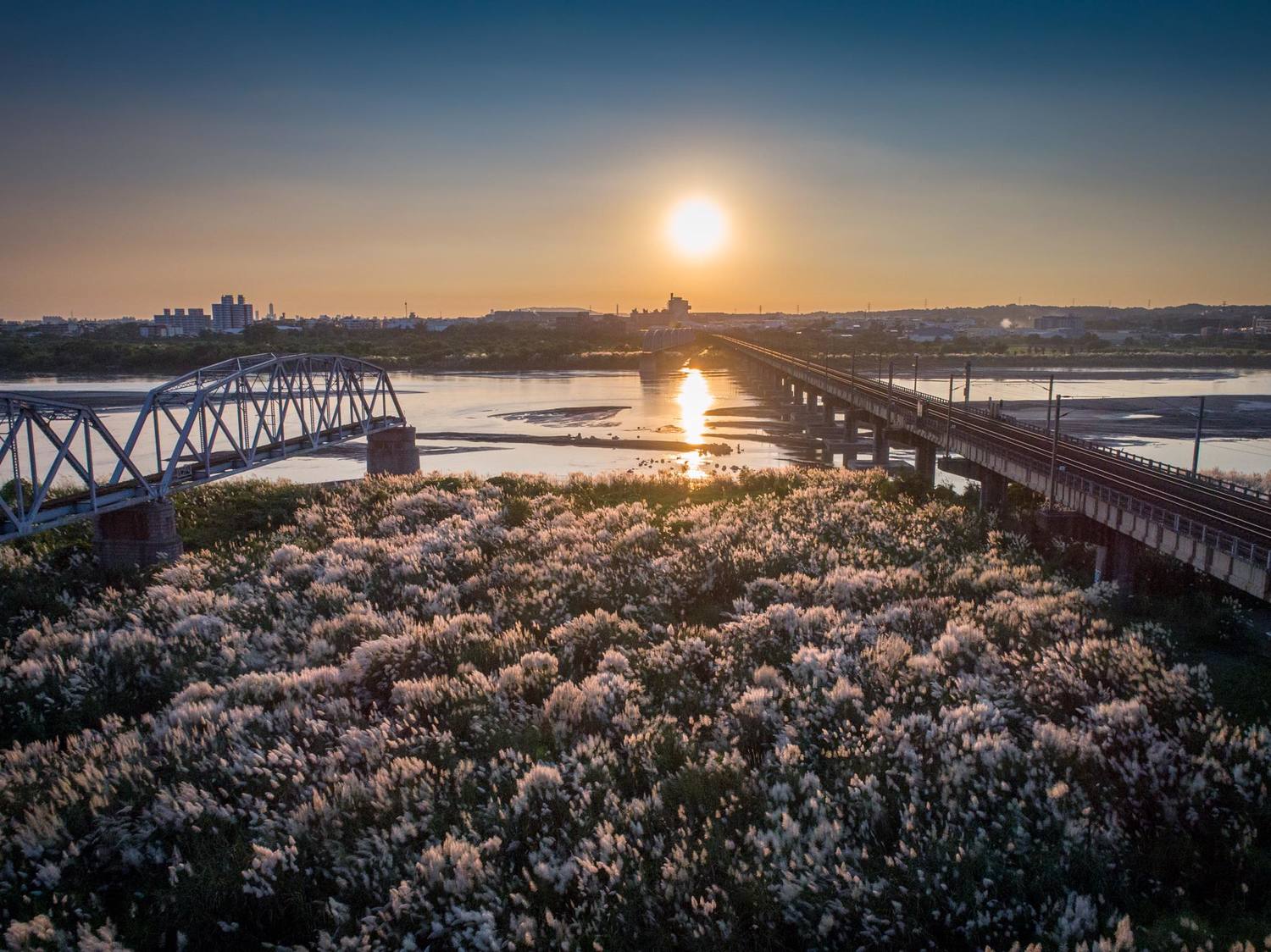 高屏溪 舊鐵橋 日落 甜根子草花海=秋日限定無敵美景。圖:翻攝自潘孟安臉書 高屏溪 舊鐵橋 日落 甜根子草花海=秋日限定無敵美景。圖:翻攝自潘孟安臉書