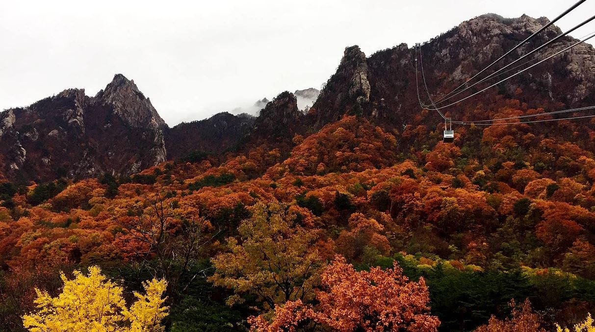 雪嶽山是楓紅最快的地區，登山健行、賞景悠閒散步，不妨依照個人步調選擇喜歡的旅遊路線。圖：翻攝自雪嶽山纜車官網