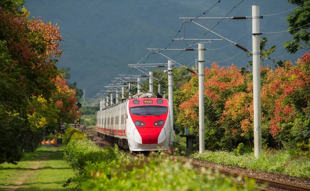 瑞和車站本來只是個偏遠小站,在兩旁種植景觀樹種後意外成為鐵道攝影點。圖:IG@zhaoqin83/攝影授權 瑞和車站本來只是個偏遠小站,在兩旁種植景觀樹種後意外成為鐵道攝影點。圖:IG@zhaoqin83/攝影授權
