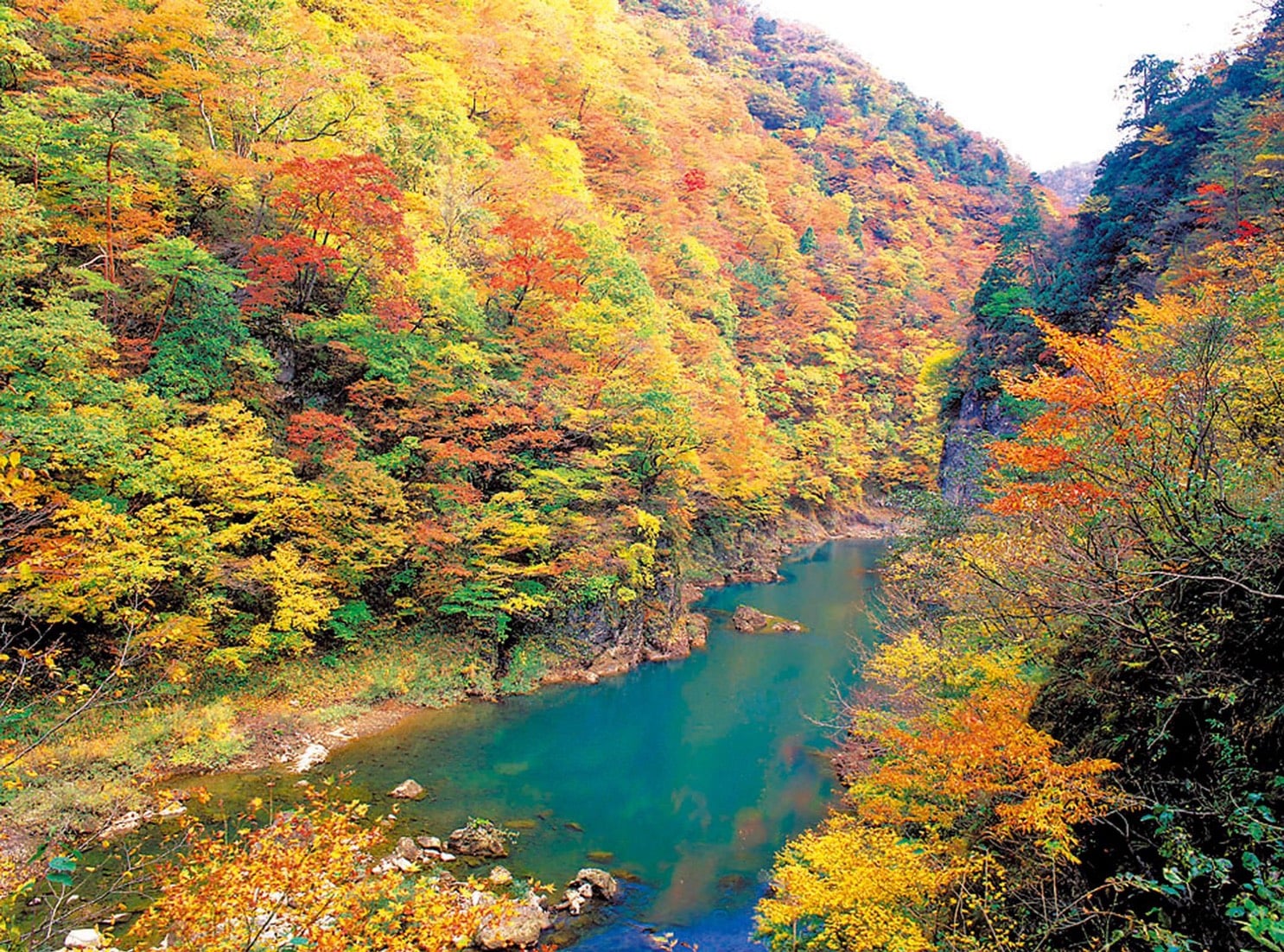 抱返溪谷紅葉與碧水形成強烈對比,隨便拍都美。圖:翻攝自秋田趴趴走臉書 抱返溪谷紅葉與碧水形成強烈對比,隨便拍都美。圖:翻攝自秋田趴趴走臉書