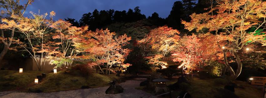 宮城縣松島的円通院不但是日本重要國家文化財,也是松島知名的夜楓賞點。圖:翻攝自円通院臉書 宮城縣松島的円通院不但是日本重要國家文化財,也是松島知名的夜楓賞點。圖:翻攝自円通院臉書