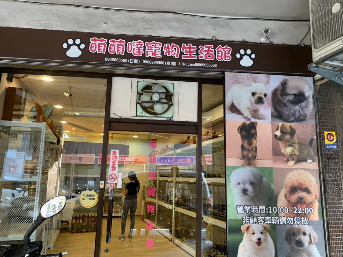 萌萌噠寵物生活館負責人無法交代清楚犬隻來源是否來自取得許可證之合法繁殖場,且犬隻來源繁殖場未做寵物登記,動保處依法開罰4萬元罰鍰。 圖:新北市動保處/提供 萌萌噠寵物生活館負責人無法交代清楚犬隻來源是否來自取得許可證之合法繁殖場,且犬隻來源繁殖場未做寵物登記,動保處依法開罰4萬元罰鍰。 圖:新北市動保處/提供