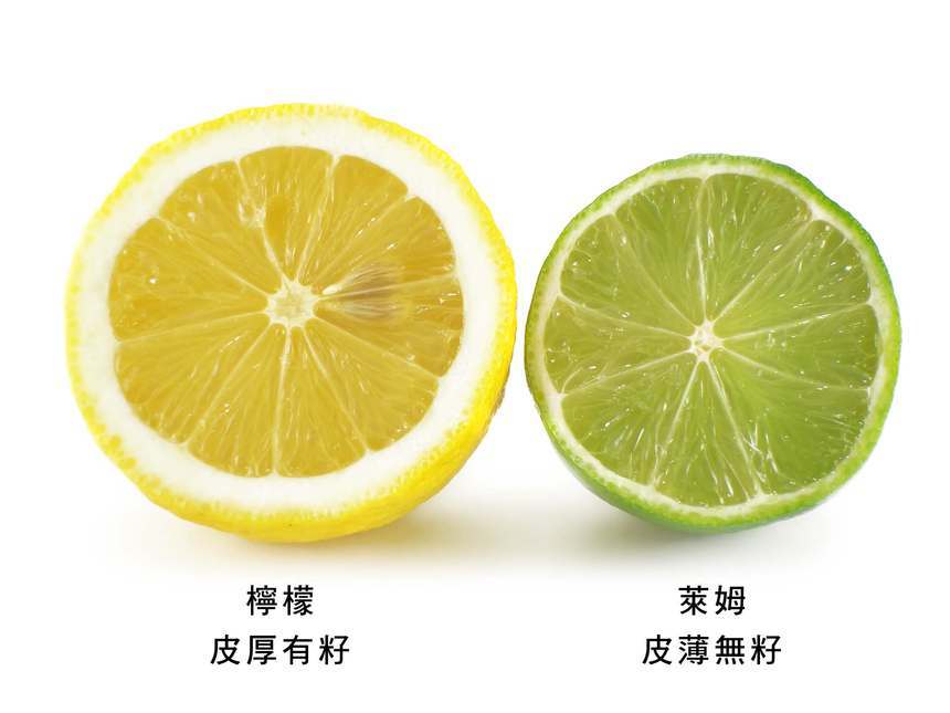 檸檬和萊姆因會成熟度都會由綠變黃,兩種顏色都有 圖:取自農委會農業易遊網 檸檬和萊姆因會成熟度都會由綠變黃,兩種顏色都有 圖:取自農委會農業易遊網