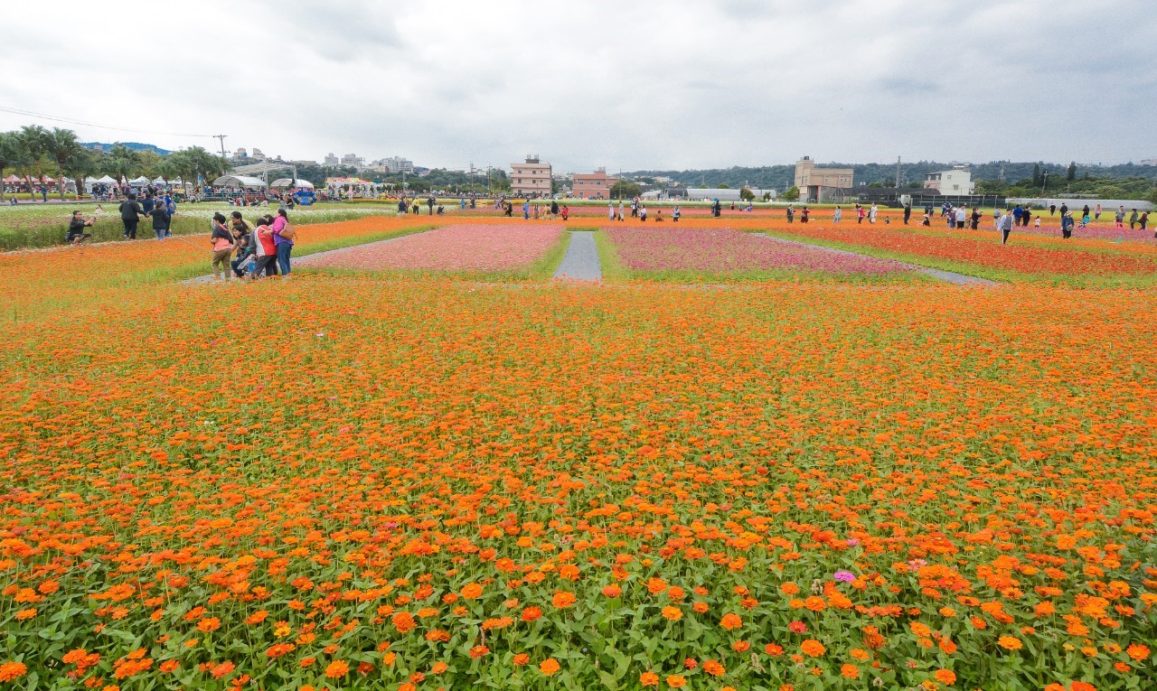大溪主展區以賞花庭為概念,打造「花田舞台」 圖:桃園市政府/提供 大溪主展區以賞花庭為概念,打造「花田舞台」 圖:桃園市政府/提供