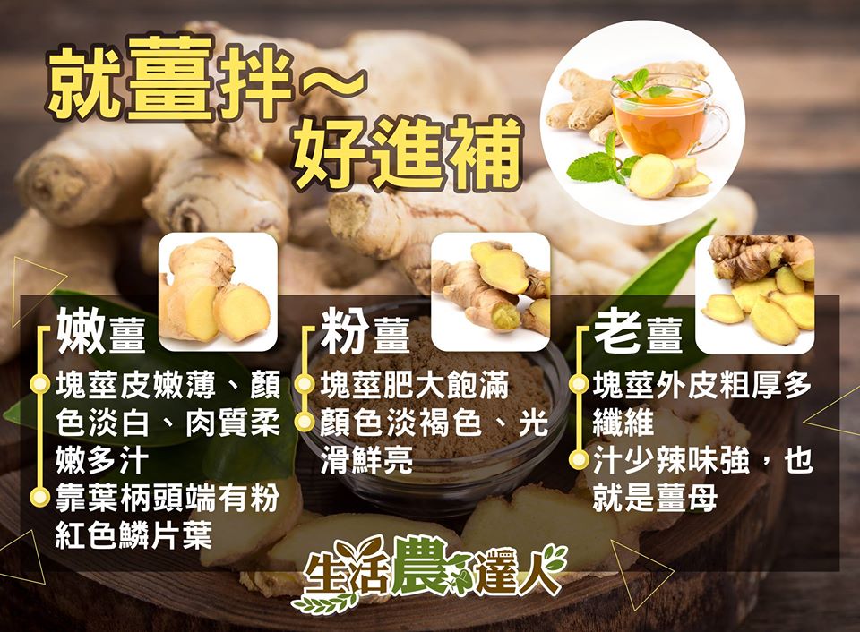 農委會表示,薑辣素對心臟血管有刺激作用,可加快心跳及血液流動 圖:取自農委會粉絲專頁 農委會表示,薑辣素對心臟血管有刺激作用,可加快心跳及血液流動 圖:取自農委會粉絲專頁