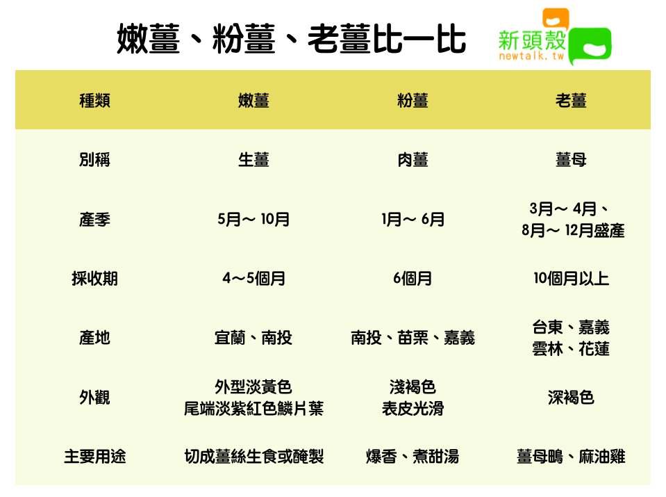 圖:嫩薑、粉薑、老薑比一比 圖:新頭殼/製表 圖:嫩薑、粉薑、老薑比一比 圖:新頭殼/製表