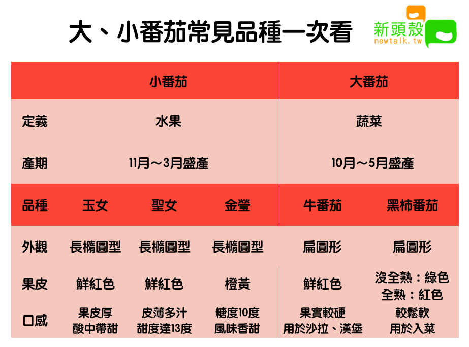 大、小番茄常見品種一次看 圖：新頭殼/製表