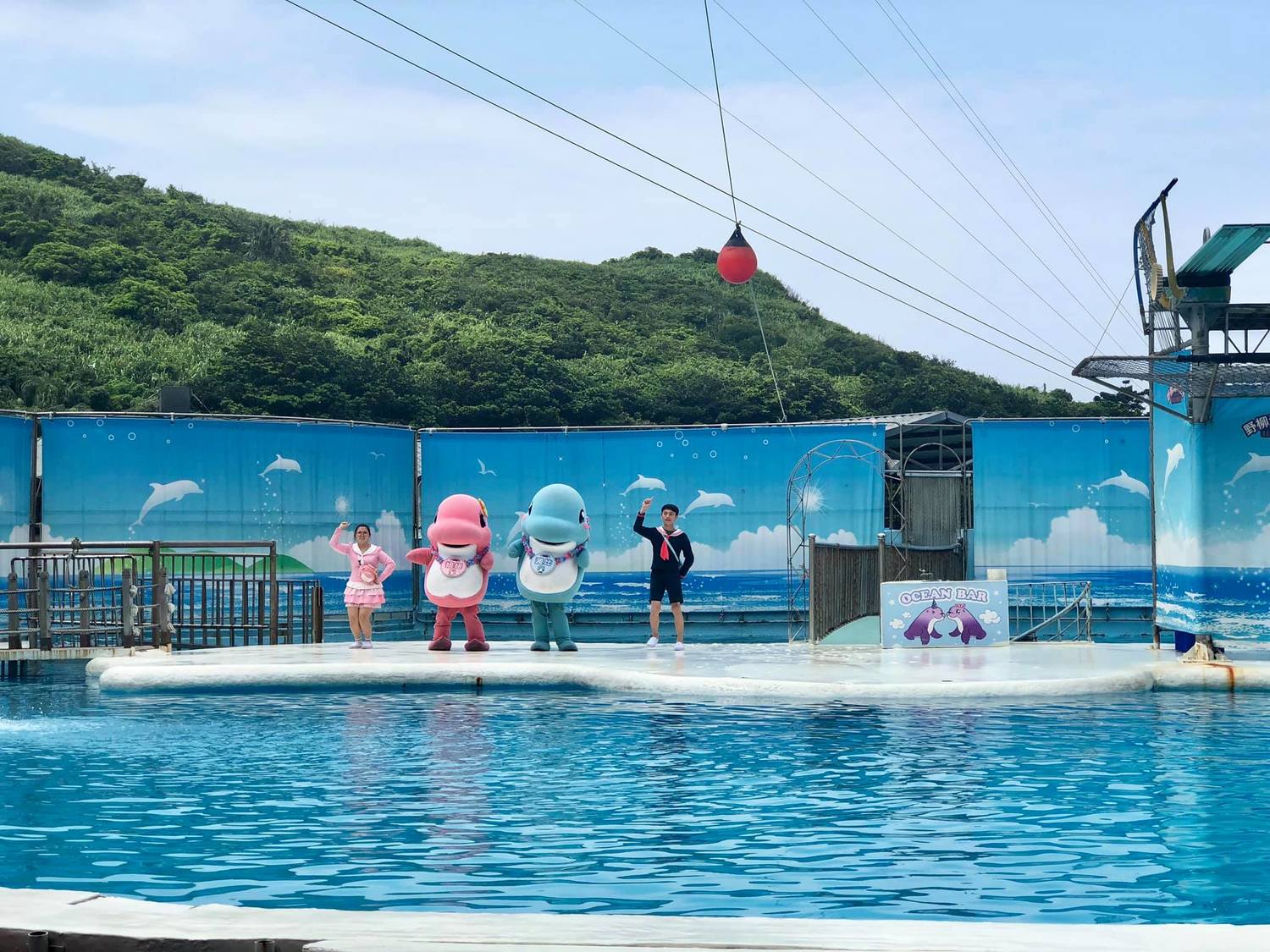 野柳海洋世界提供上百種海洋動物展示與表演,不但有劇場等級的幽默精彩演出,還請來世界級的高空跳水表演團。圖:翻攝自野柳海洋世界臉書 野柳海洋世界提供上百種海洋動物展示與表演,不但有劇場等級的幽默精彩演出,還請來世界級的高空跳水表演團。圖:翻攝自野柳海洋世界臉書