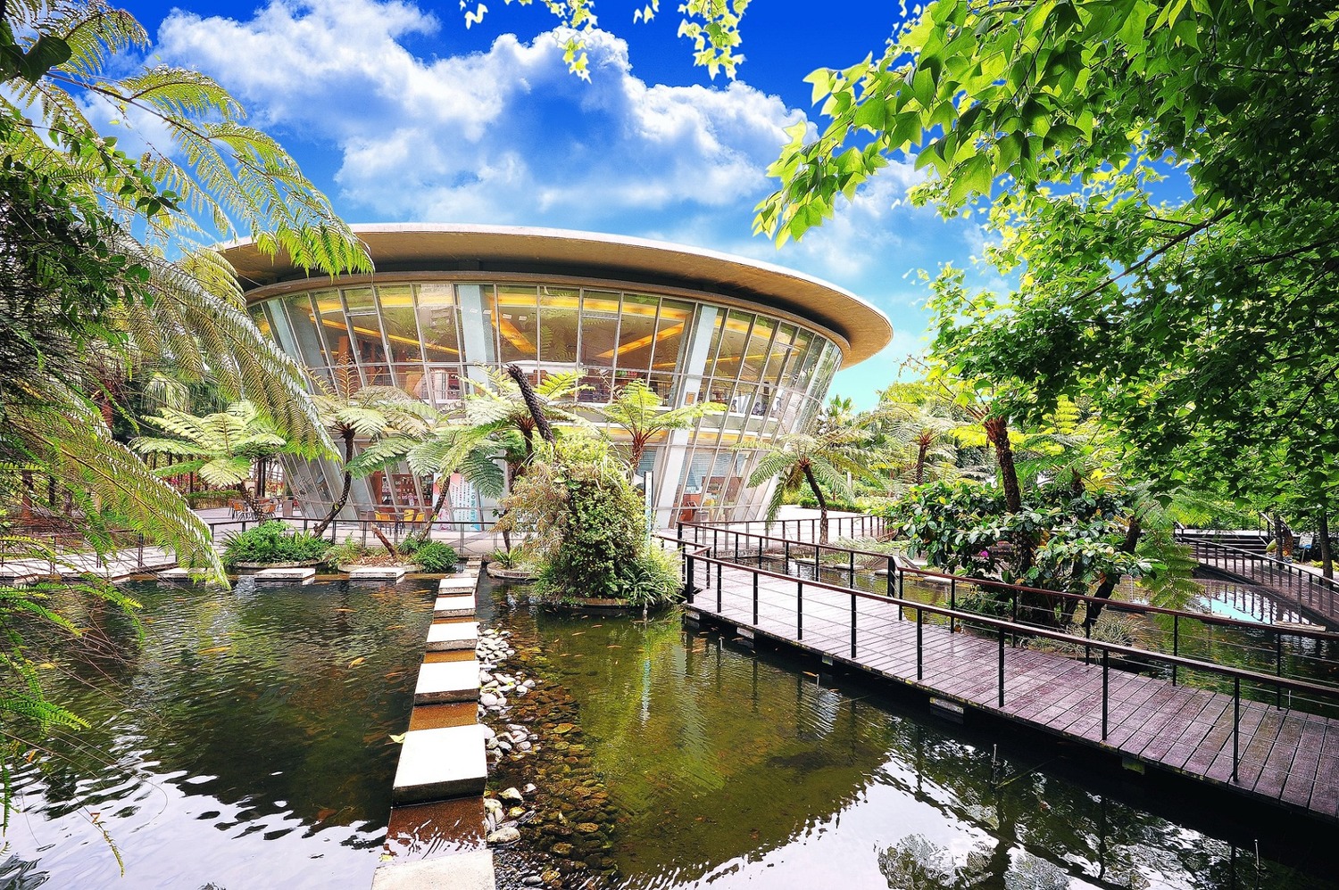 台東孕育出超過1000種珍貴的藥草,台東原生應用植物園既是藥草寶地,也是適合探索植物奧妙的科教場域,園區內有棧道、牧場、溫室,就算僅作為散步場所,也相當值得拜訪。圖:翻攝自台東原生應用植物園臉書 台東孕育出超過1000種珍貴的藥草,台東原生應用植物園既是藥草寶地,也是適合探索植物奧妙的科教場域,園區內有棧道、牧場、溫室,就算僅作為散步場所,也相當值得拜訪。圖:翻攝自台東原生應用植物園臉書