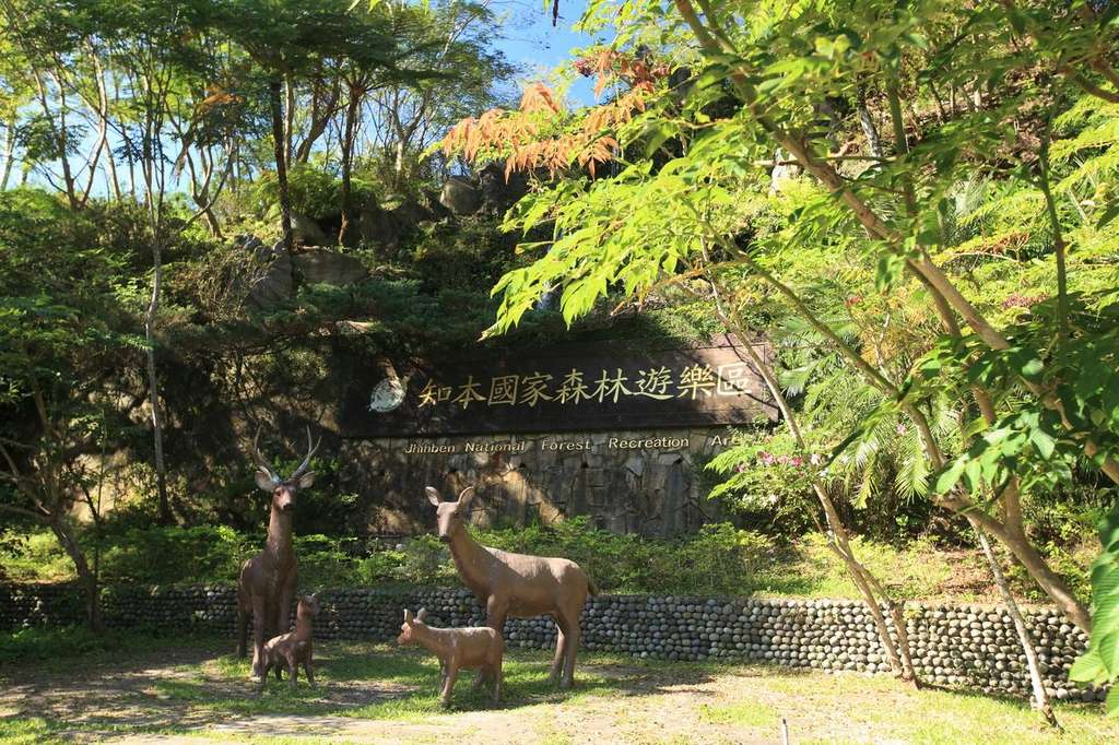 知本森林遊樂區在知本溪的中游,是絕佳的生態教室,園區內保有大量動植物生態,並有觀林吊橋、森林步道、藥用植物園等等設施。因為鄰近知本溫泉區,許多遊客會同時安排溫泉之旅。圖:翻攝自台東觀光旅遊網 知本森林遊樂區在知本溪的中游,是絕佳的生態教室,園區內保有大量動植物生態,並有觀林吊橋、森林步道、藥用植物園等等設施。因為鄰近知本溫泉區,許多遊客會同時安排溫泉之旅。圖:翻攝自台東觀光旅遊網