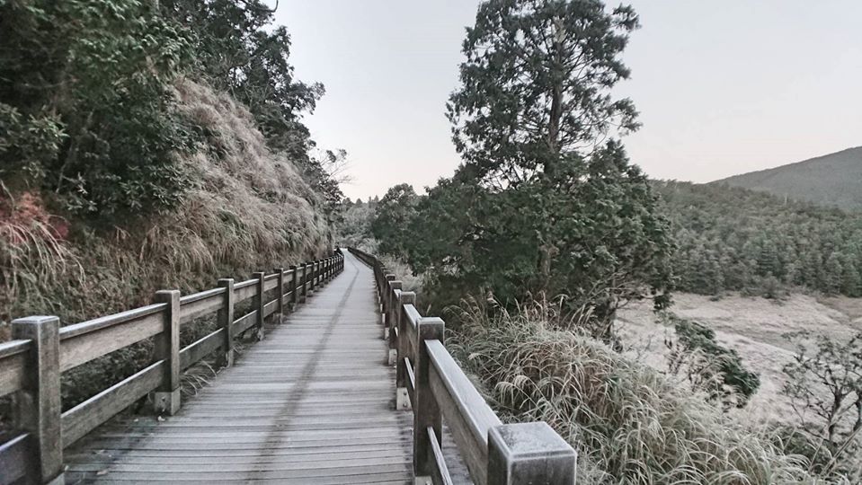 四周草地與林木也都披上雪白衣裳,銀白妝點的翠峰湖美不勝收 圖:取自太平山國家森林遊樂區粉絲專頁(照片:黃清漢) 四周草地與林木也都披上雪白衣裳,銀白妝點的翠峰湖美不勝收 圖:取自太平山國家森林遊樂區粉絲專頁(照片:黃清漢)