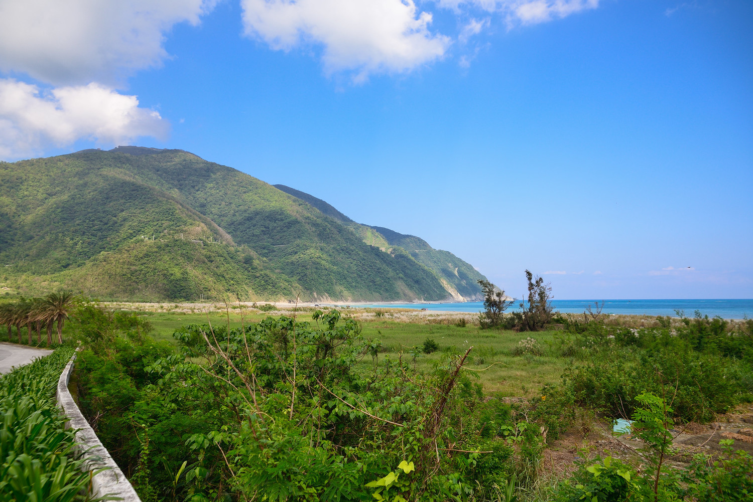 東部的小站不論是近海、近山,經常都能發現不同的味道。圖:謝佳真/攝 東部的小站不論是近海、近山,經常都能發現不同的味道。圖:謝佳真/攝