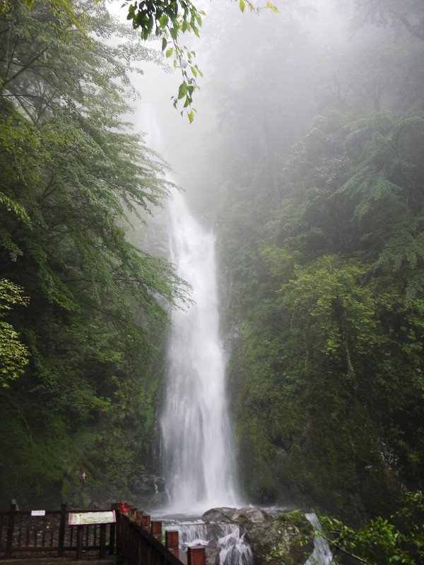 桃山瀑布負離子含量是全台前幾名。圖:翻攝自武陵農場臉書 桃山瀑布負離子含量是全台前幾名。圖:翻攝自武陵農場臉書