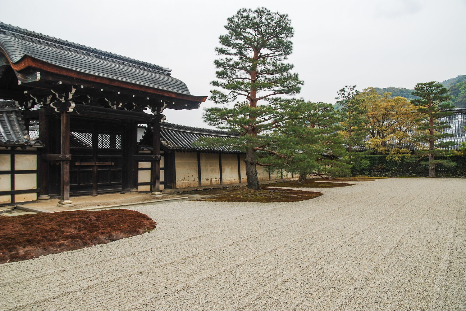 京都天龍寺。 圖:謝佳真/攝 京都天龍寺。 圖:謝佳真/攝