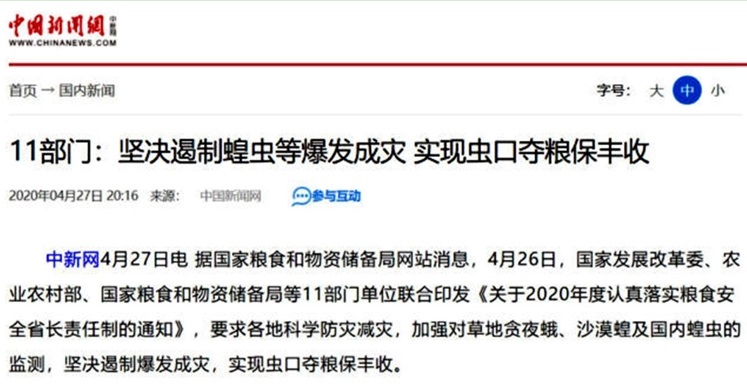 中共國家發改委、農業部等11個部門要求堅決遏制蝗蟲「爆發成災」,實現「蟲口奪糧」保豐收。 圖:擷取自中國新聞網 中共國家發改委、農業部等11個部門要求堅決遏制蝗蟲「爆發成災」,實現「蟲口奪糧」保豐收。 圖:擷取自中國新聞網