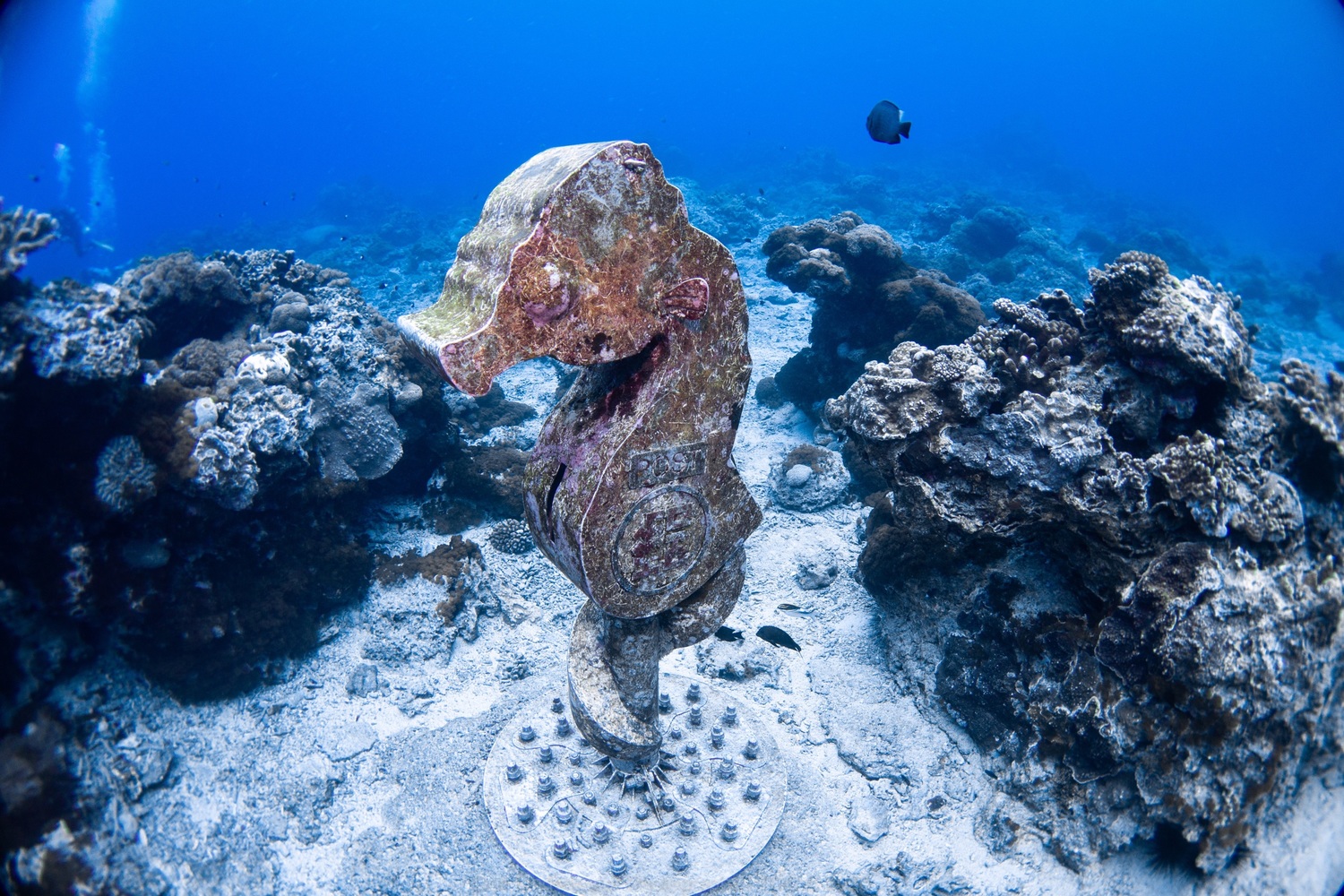 綠島的海馬郵筒是世界上最深的海底郵筒。 圖:台灣潛水教練 小唐/攝 綠島的海馬郵筒是世界上最深的海底郵筒。 圖:台灣潛水教練 小唐/攝
