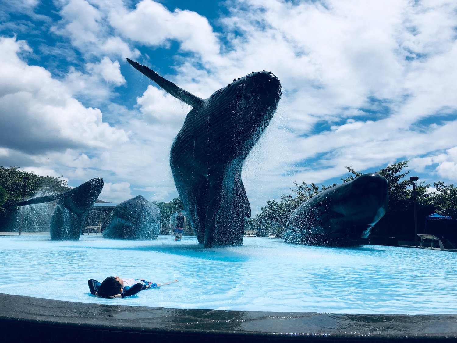 聞名全台的海生館可說是台灣水族館扛壩子!夜宿海生館、可愛小白鯨是其賣點。 圖:翻攝自國立海洋生物博物館臉書 聞名全台的海生館可說是台灣水族館扛壩子!夜宿海生館、可愛小白鯨是其賣點。 圖:翻攝自國立海洋生物博物館臉書