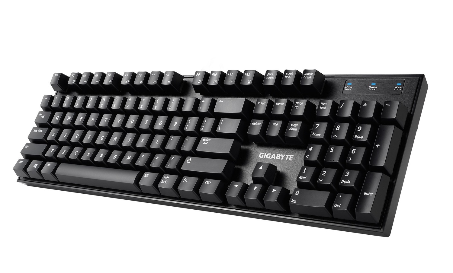 FORCE K81鍵盤。 圖：就肆電競提供