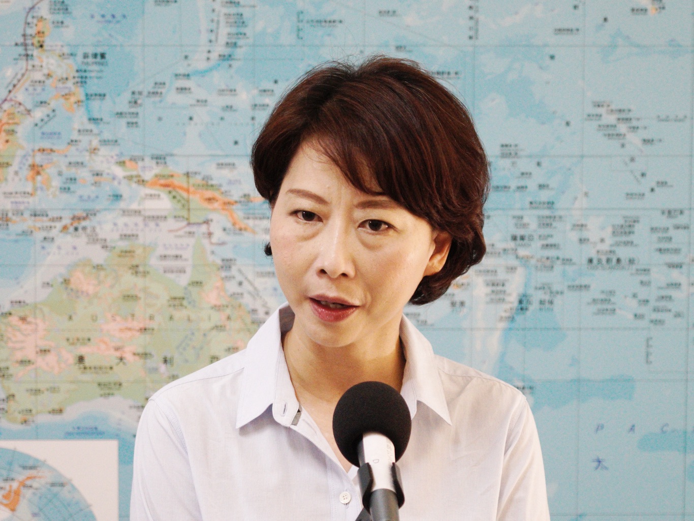 國家正常化修憲案被擋下  綠委批國民黨「配合中國」