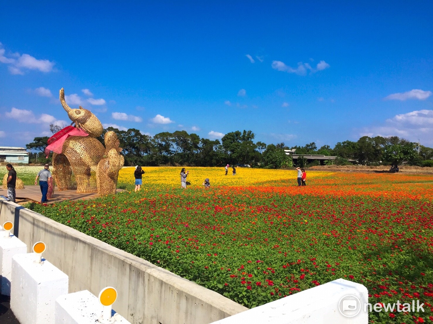 花田裡亮黃色的文馨蘭裝置藝術作品配上絢爛花海以及藍天白雲,不管怎麼拍都不會NG,簡直是拍照打卡的必去景點。 花田裡亮黃色的文馨蘭裝置藝術作品配上絢爛花海以及藍天白雲,不管怎麼拍都不會NG,簡直是拍照打卡的必去景點。