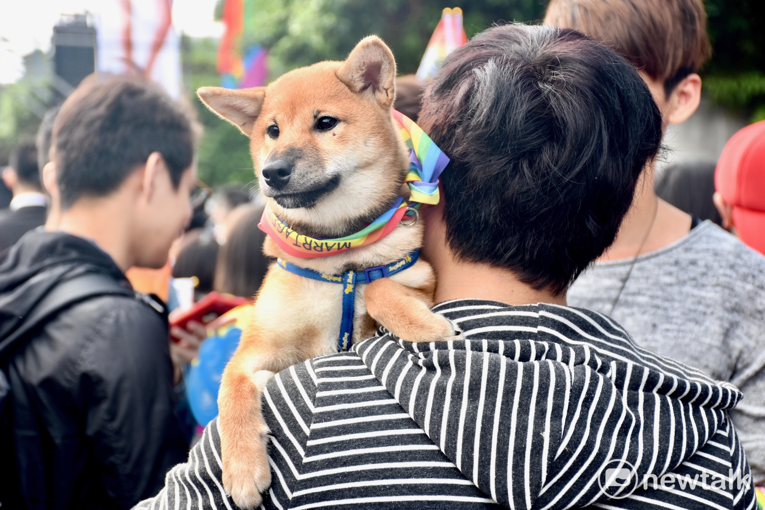 第15屆台灣同志遊行,許多民眾攜帶自己的愛犬一同參與遊行,十分吸睛。 圖:黃堃睿/提供 第15屆台灣同志遊行,許多民眾攜帶自己的愛犬一同參與遊行,十分吸睛。 圖:黃堃睿/提供