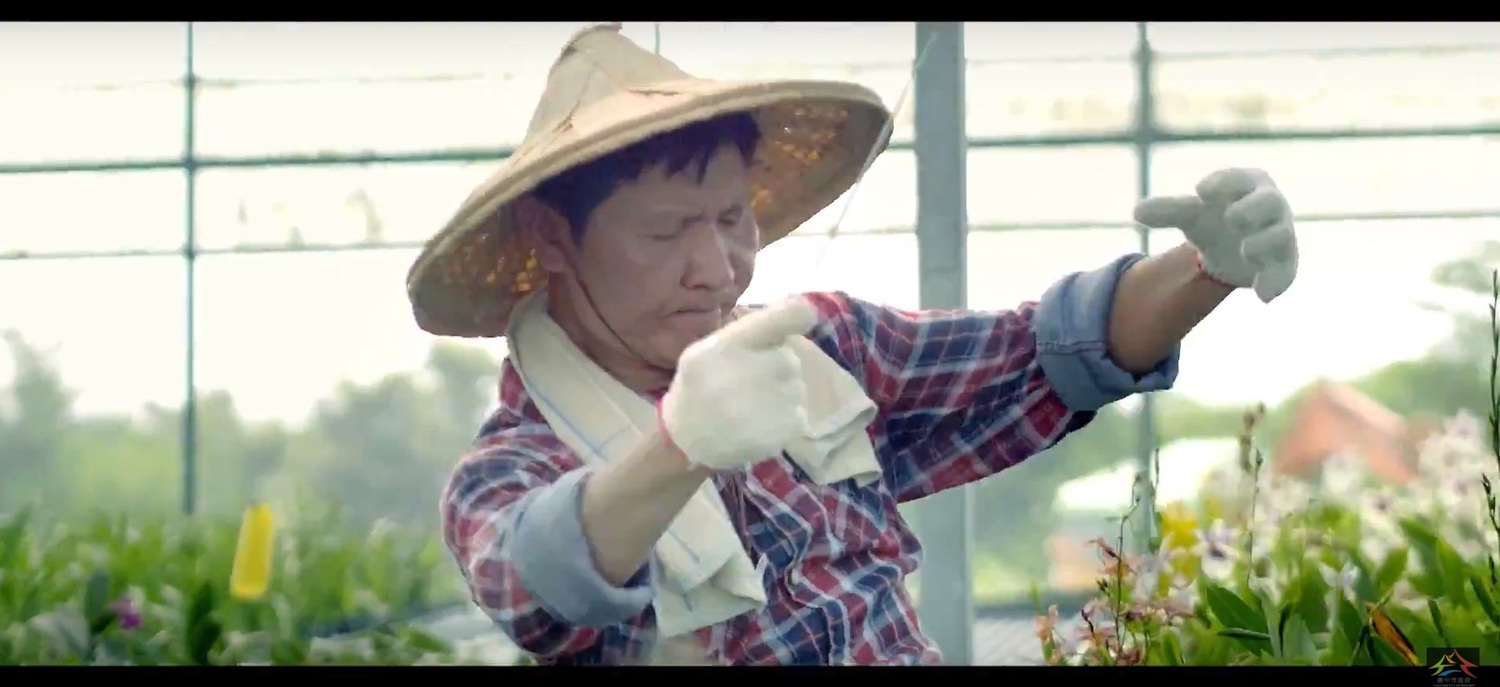 花農化身指揮家。 圖 : 台中市政府/提供 花農化身指揮家。 圖 : 台中市政府/提供