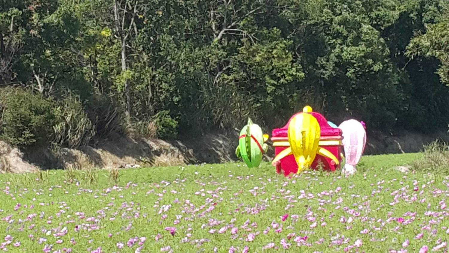 桃園花彩節除了楊梅漸層花海之外,平鎮花區接力登場,現場有超Q的裝置藝術,讓你的打卡充滿喜感!桃園花彩節上週六在楊梅登場,這週六平鎮、蘆竹、中壢及圓光寺花區也陸續出爐!平鎮花區結合地景特色 ,還有裝置藝術與水塘相伴充滿喜感,想打卡?快來桃園小旅行! 桃園花彩節除了楊梅漸層花海之外,平鎮花區接力登場,現場有超Q的裝置藝術,讓你的打卡充滿喜感!桃園花彩節上週六在楊梅登場,這週六平鎮、蘆竹、中壢及圓光寺花區也陸續出爐!平鎮花區結合地景特色 ,還有裝置藝術與水塘相伴充滿喜感,想打卡?快來桃園小旅行!