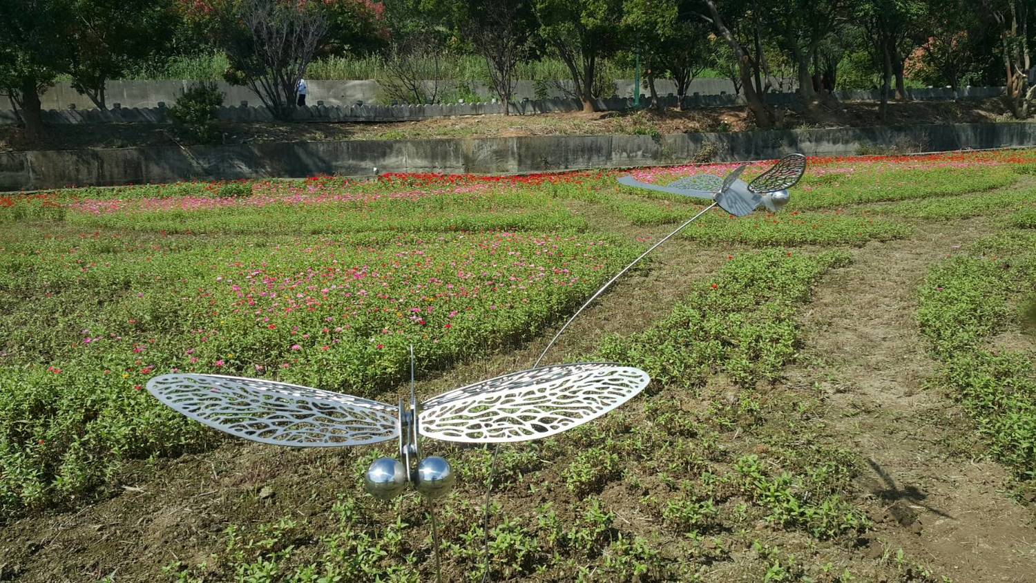 桃園花彩節除了楊梅漸層花海之外,平鎮花區接力登場,現場有超Q的裝置藝術,讓你的打卡充滿喜感!桃園花彩節上週六在楊梅登場,這週六平鎮、蘆竹、中壢及圓光寺花區也陸續出爐!平鎮花區結合地景特色 ,還有裝置藝術與水塘相伴充滿喜感,想打卡?快來桃園小旅行! 桃園花彩節除了楊梅漸層花海之外,平鎮花區接力登場,現場有超Q的裝置藝術,讓你的打卡充滿喜感!桃園花彩節上週六在楊梅登場,這週六平鎮、蘆竹、中壢及圓光寺花區也陸續出爐!平鎮花區結合地景特色 ,還有裝置藝術與水塘相伴充滿喜感,想打卡?快來桃園小旅行!