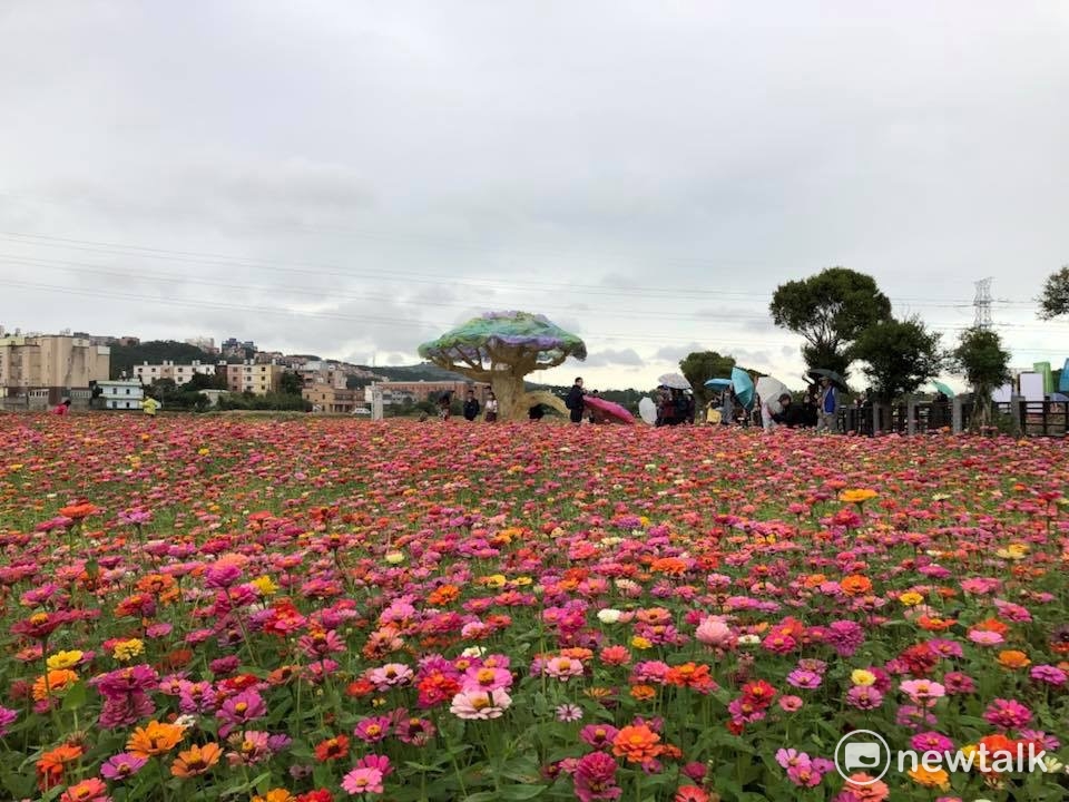 2017桃園花彩節龍潭花區的創作藝術家蕭凱文表示,「白雪公主與矮人之夢」依然具透光性,甚至還在作品的中心後頭,留了個小洞讓人可以進入,好讓作品裡頭,可以看見外頭、作品外頭也可以看見裡頭,裏外可以存著某種界域。 2017桃園花彩節龍潭花區的創作藝術家蕭凱文表示,「白雪公主與矮人之夢」依然具透光性,甚至還在作品的中心後頭,留了個小洞讓人可以進入,好讓作品裡頭,可以看見外頭、作品外頭也可以看見裡頭,裏外可以存著某種界域。