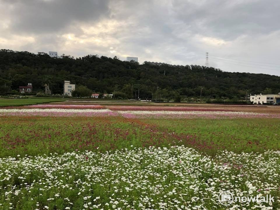 2017桃園花彩節龍潭花區的創作藝術家蕭凱文表示,「白雪公主與矮人之夢」依然具透光性,甚至還在作品的中心後頭,留了個小洞讓人可以進入,好讓作品裡頭,可以看見外頭、作品外頭也可以看見裡頭,裏外可以存著某種界域。 2017桃園花彩節龍潭花區的創作藝術家蕭凱文表示,「白雪公主與矮人之夢」依然具透光性,甚至還在作品的中心後頭,留了個小洞讓人可以進入,好讓作品裡頭,可以看見外頭、作品外頭也可以看見裡頭,裏外可以存著某種界域。